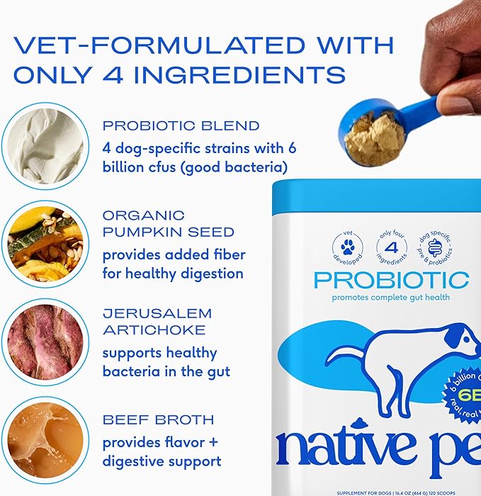 Native Pet Probiotics for Dogs - Dog Probiotics Powder for Digestive Health, Gut Support, & Immune Boost – Vet-Formulated Powder for Maximum Potency with Digestive Enzymes & Prebiotics - 240 Scoops