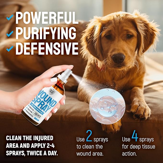 SILVER GRADE Wound Spray for Pets – Colloidal Silver Wound Care for Dogs & Cats – Helps with Skin Irritation, Hot Spots, Rashes, Scratching, Itch, Bites & Burns – Use a Dog Cone – 4 oz