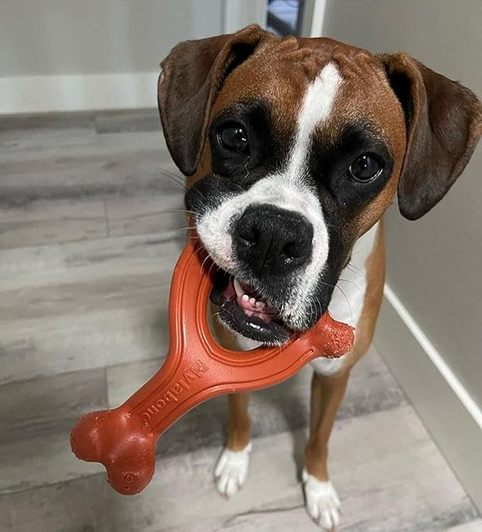 Nylabone Ergonomic Hold Wishbone Power Chew Toy for Dogs, Dog Toys for Aggressive Chewers, Bison Flavor, Large - Up to 50 lbs, 1 Count