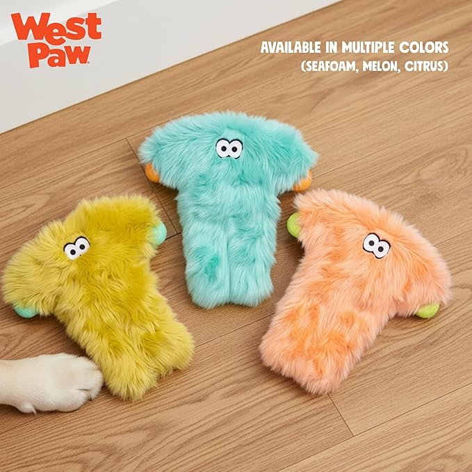 WEST PAW Rowdies Bjorn Durable Plush Dog Toy with Reinforced Seams Chew Resistant Design and Interactive Squeaker for Playtime Indoors or Outdoors Bundle for Dogs Who Deserve The Best - Seafoam