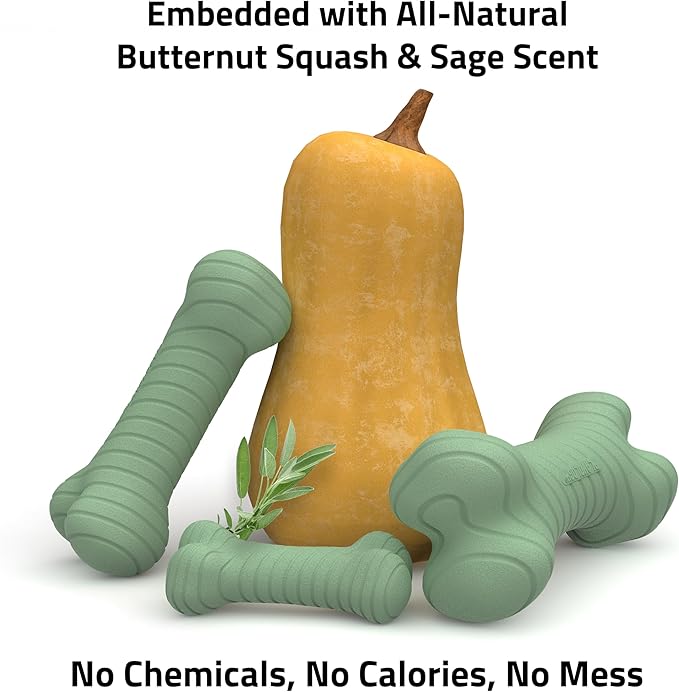 Playology Dog Toys | Dual Layer Bone Durable Chew Toy Bone for Dogs | Medium Butternut Squash & Sage Scented Toy - Limited Edition Fall Scent | Easy to Clean and Made from Non Toxic Materials