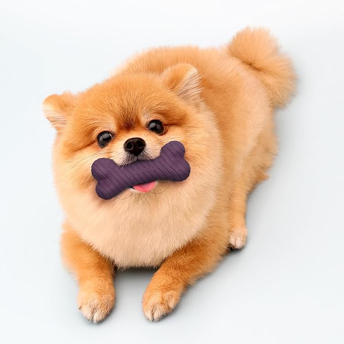 Playology Dog Toys | Dual Layer Bone Durable Chew Toy Bone for Dogs (Value 3-Pack) | Small Bacon Scented Toy - Easy to Clean and Made from Non Toxic Materials