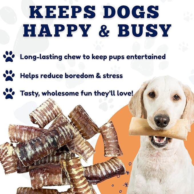Amazing Dog Treats - 6 Inch Beef Trachea Dog Chews (20 pcs - 32 oz) - Trachea Dog Treats - NO Hide - Digestible and Safe Chews for Dogs - Glucosamine and Chondroitin for Joint Health for Dogs