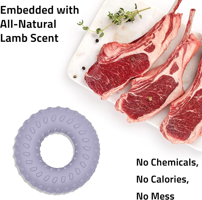 Playology Dog Toys | Dual Layer Ring Durable Chew Toy for Aggressive Chewers | Jumbo Lamb Scented Toy - Easy to Clean and Made from Non Toxic Materials