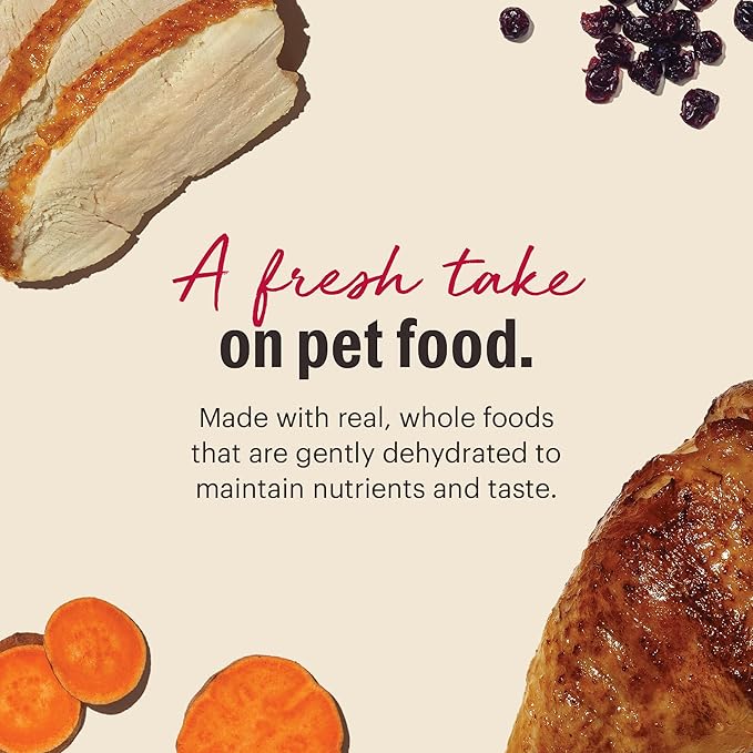 The Honest Kitchen Human Grade Dehydrated Grain Free Turkey Cat Food, 4 lb Box