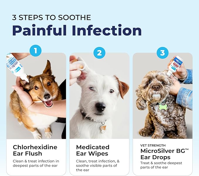 Vetnique Oticbliss Cat & Dog Ear Wipes - Dog Ear Infection Treatment or Dog Ear Cleaner Wipes for Dirty, Waxy, Smelly Dog Ears, Odor Control with Aloe Vera & Salicylic Acid (Medicated Ear Wipes)