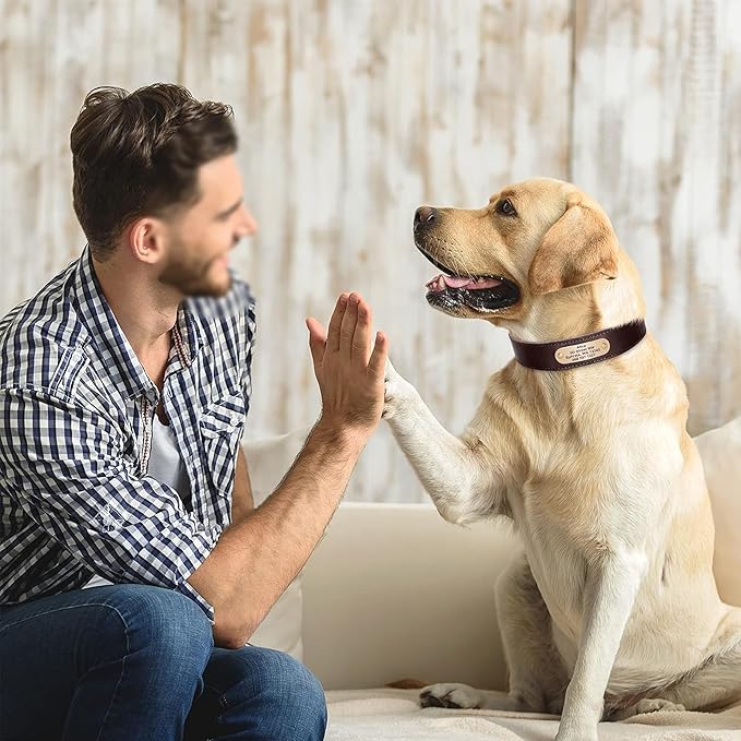 Didog Genuine Leather Dog Collars with Engraved Nameplate, Personalized Soft Leather Dog Collar with Custom ID Tag, Brown/Green/Red for Medium Large Dogs (L,Brown)