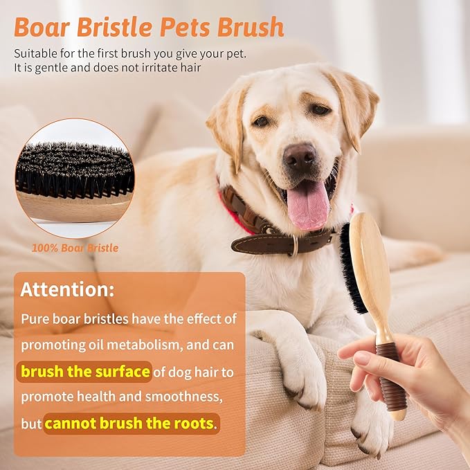 Boar Bristle Pet Brush for Short Haired Dogs and Cats, Dog Cast Hair Brush for Shedding with Beech Wood Handle and Non-Slip Rubber