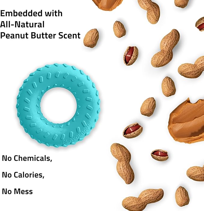 Playology Dog Toys | Dual Layer Ring Durable Chew Toy for Aggressive Chewers | Jumbo Peanut Butter Scented Toy - Easy to Clean and Made from Non Toxic Materials