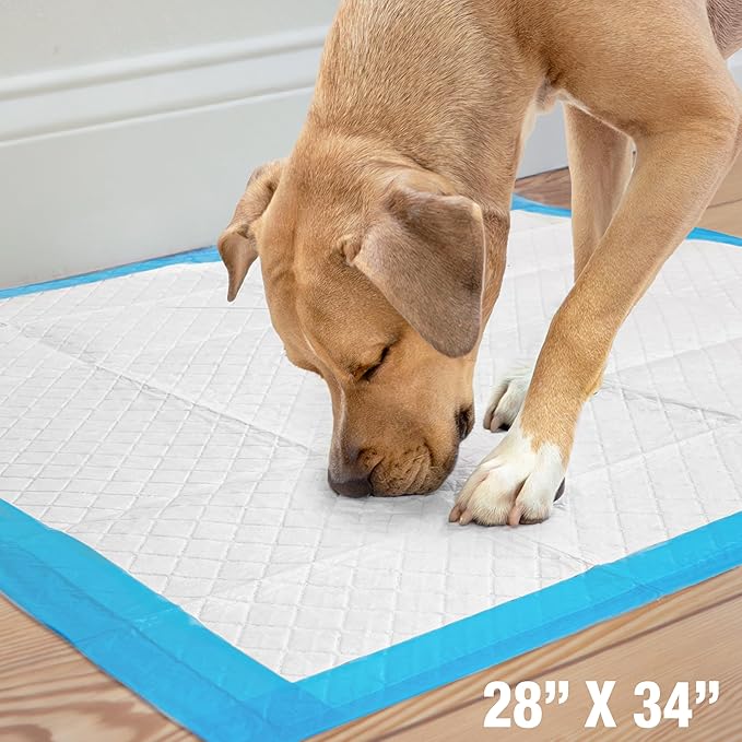 Four Paws Wee-Wee Superior Performance Unscented Extra-Large Pee Pads for Dogs & Puppies, Quilted Leak-Proof Dog Housebreaking Potty Training Floor Protection, 28" x 34", 21 Count