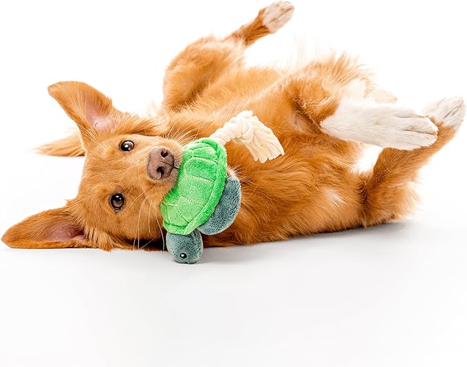 Dog Toys | Plush Toy Turtle Stuffed Animal for Dogs | Medium Eco Friendly Toy - Easy to Clean and Made from Non Toxic Materials