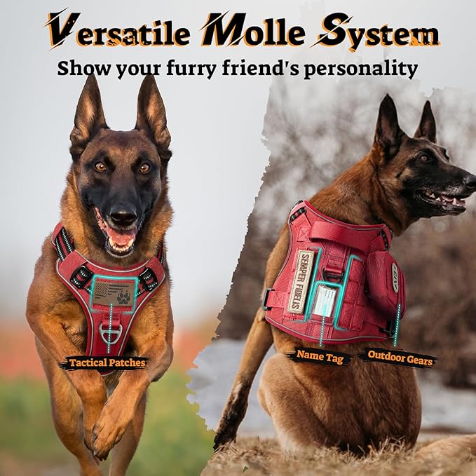 rabbitgoo Dog Harness Medium Sized No Pull, Tactical Service Pet Vest with Molle and Control Handle, Adjustable and Reflective Military Harness for Easy Walking and Training, Red, M