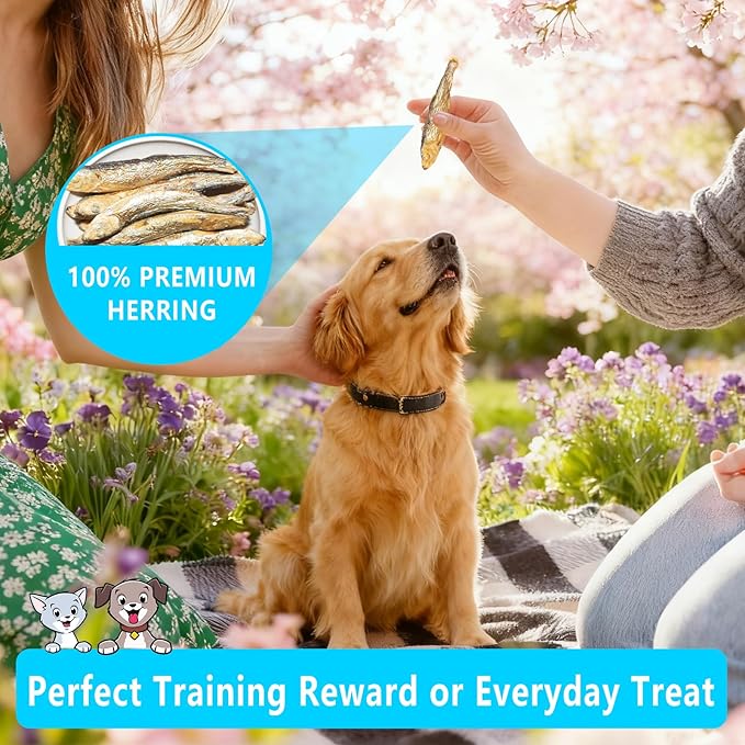 Herring Fish Dog Treats, Freeze Dried, Wild-Caught, Single Ingredient, High-Protein, Omega 3 & 6 for Skin & Coat, No Additives, Grain-Free Cat & Dog Treats (7.5 oz)