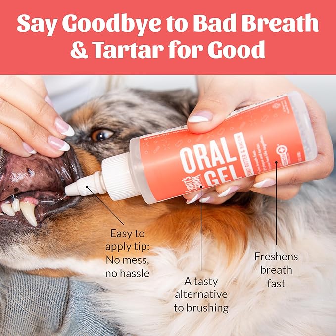 SKOUT'S HONOR Fresher Breath Peanut Butter & Bacon Oral Gel - Fights Plaque and Tartar, Freshens Breath Fast, No Brushing Required, 4 oz, 2-Pack