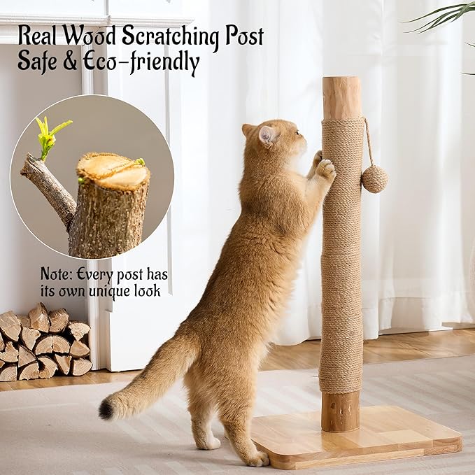 29" Tall Cat Scratching Post for Indoor Cats Adults, Extra-Stable & Natural Solid Wood Scratching Post Sisal Scratcher with Hanging Funny Ball, Beige