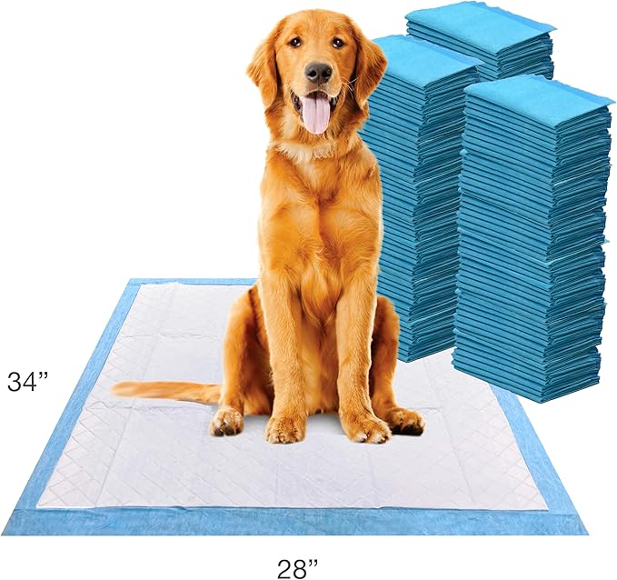 Four Paws Wee-Wee Superior Performance XL Pee Pads for Extra Large Dogs, Leak-Proof Floor Protection Dog & Puppy Quilted Potty Training Pads, Unscented, 28" x 34" (150 Count)