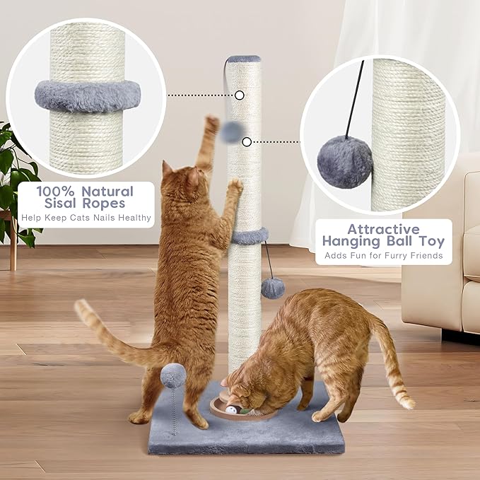 Fantasreen 31" Cat Scratching Post Kitten Toys for Indoor Cats, Interactive Cat Scratcher with Catnip Balls, Sisal Scratch Rope for Large Cats, Grey
