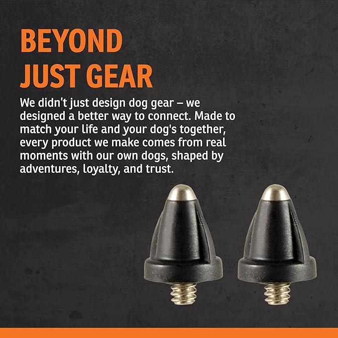 SportDOG Brand Short Contact Points - 1/2 Inch Replacement Probes E-Collars - Standard Length