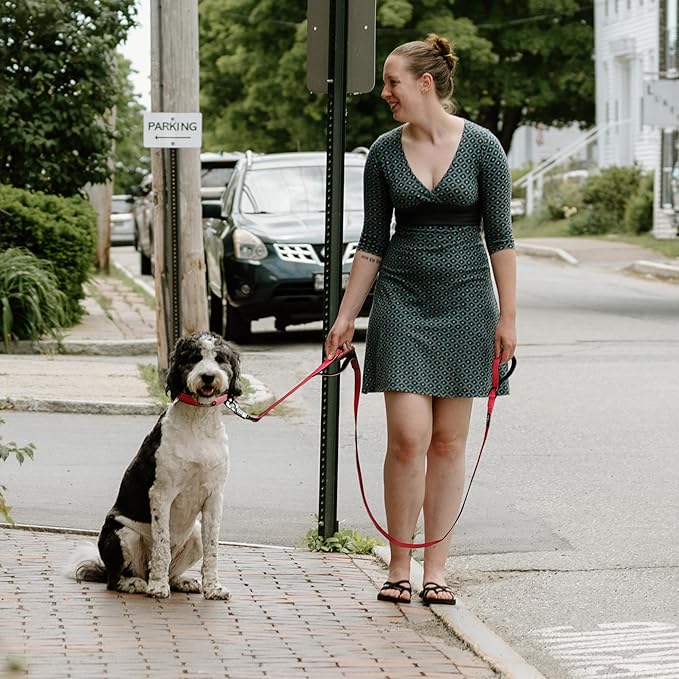 Fida 6 FT Heavy Duty Dog Leash with 2 Comfortable Padded Handles, Traffic Handle & Advanced Easy Snap Hook, Reflective Walking Lead for Large, Medium & Small Breed, Red