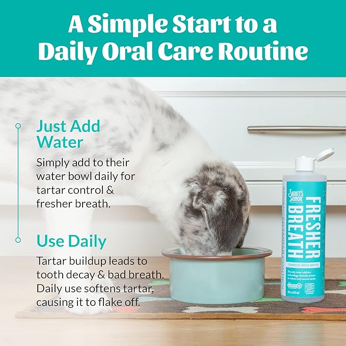 SKOUT'S HONOR Fresher Breath Water Additive for Pets - VOHC Accepted for Tartar Control, Freshens Breath Fast, No Brushing Required : Fresh & Flavorless 16oz
