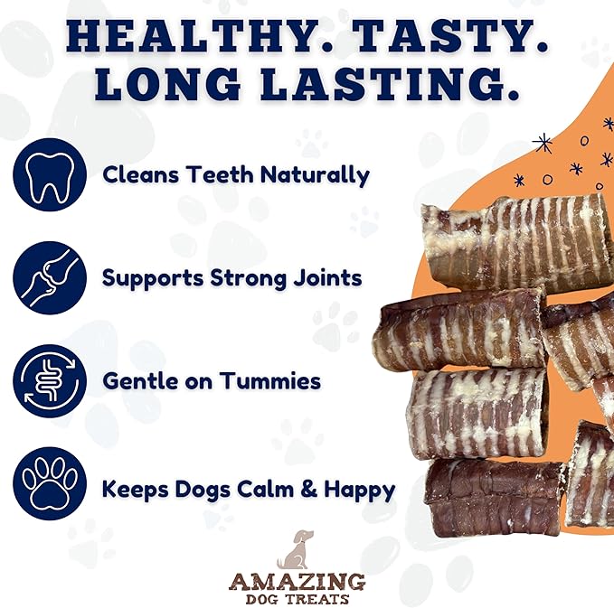 Amazing Dog Treats - 6 Inch Beef Trachea Dog Chews (100 pcs) - Trachea Dog Treats - NO Hide - Digestible and Safe Chews for Dogs - Glucosamine and Chondroitin for Joint Health for Dogs
