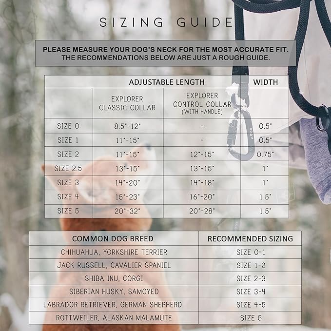 Made to ROAM Premium Explorer Control Collar - Adjustable Heavy Duty Nylon Dog Collar with Quick-Release Metal Buckle and Handle (Virginia Mountains, Control Size 2.5)