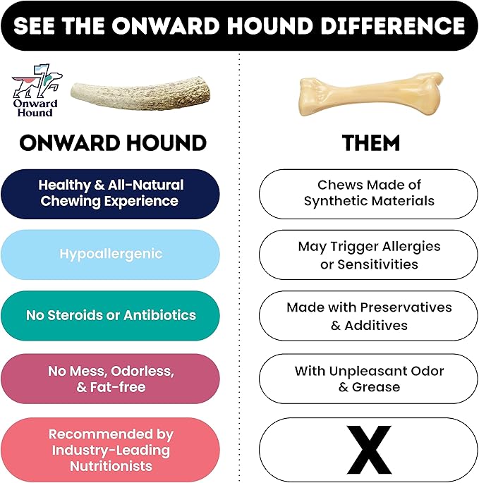 Onward Hound Elk Antlers for Dogs, 8"+ XXL 1-Pack, Grade A Long Lasting Chew for Aggressive Chewers, Premium USA Naturally Shed Antler - Healthy, No Odor, Durable Dog Chew for 90lb+ Breeds