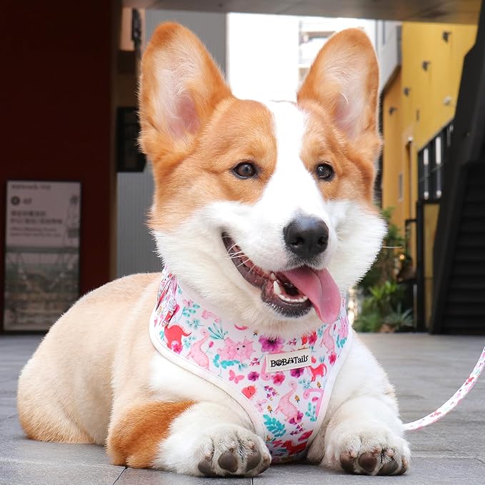 Dinosaur Printed Dog Harness with D-Ring Leash Clip Set,Adjustable Soft Padded and Cotton Fabric Pet Vest Harnesses for Extra Small Dogs (White, Extra Small)
