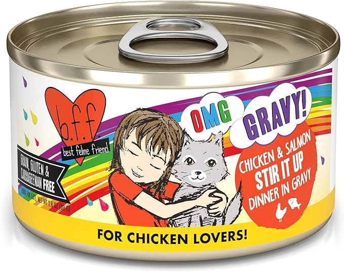 Weruva B.F.F. OMG - Best Feline Friend Oh My Gravy!, Chicken & Salmon Stir It Up with Chicken & Salmon in Gravy, 2.8oz Can (Pack of 12)