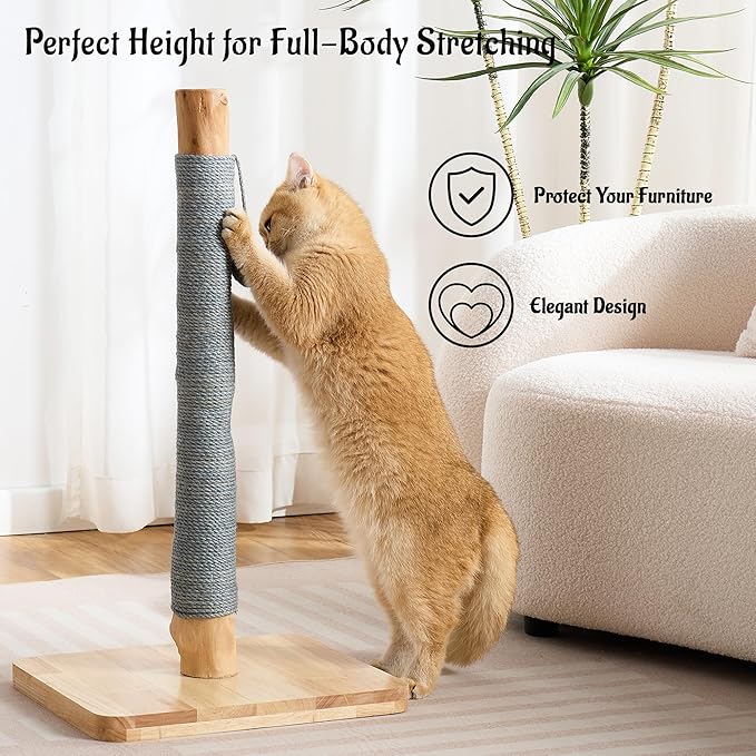 29" Tall Cat Scratching Post for Indoor Cats Adults, Extra-Stable & Natural Solid Wood Scratching Post Sisal Scratcher with Hanging Funny Ball, Gray