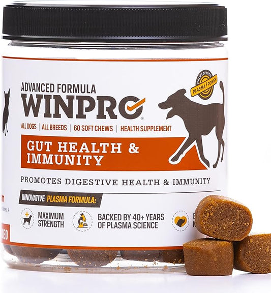 WINPRO Dog Gut Health Supplement – Plasma-Powered Soft Chews for Dog Immune Health Support & Gut Health, Made with Natural Ingredients for Dogs of All Breeds & Sizes - 60 Count
