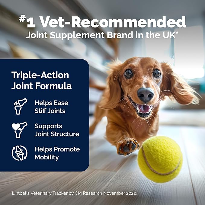 Yumove Hip & Joint Supplement for Dogs with Glucosamine, Hyaluronic Acid, Green Lipped Mussel & Omega 3 Joint Supplement - Regular or Advanced Strength (60 Count, Chewable Tablets)