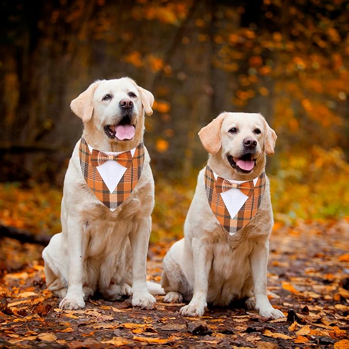 ADOGGYGO Fall Dog Tuxedo Bandana, Orange Plaid Pet Tux Collar with Bowtie, Adjustable Halloween Thanksgiving Formal Costume for Large and Extra Large Dogs Pets (XL)