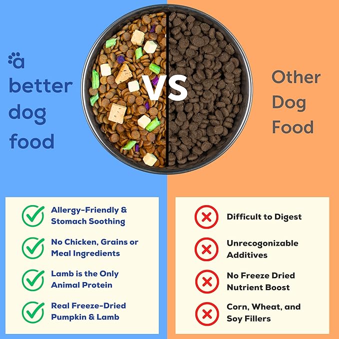 A Better Treat | Allergy Friendly Lamb Dry Dog Food | Raw You Can See | No Chicken, Lamb Only Animal Protein, No Meal Ingredients, Grain Free | Stomach Soothing Kibble + Freeze Dried Raw Dog Food