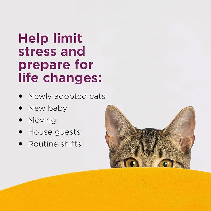 Comfort Zone Cat Calming Diffuser Refill, 1 Pack – Cat Calming Pheromone Refills Help Reduce Anxiety, Stress, Scratching, Urine Marking, Aggression, (30-Day Refill, 30-Day Supply)