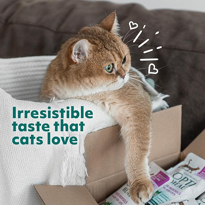 Optimeal Grain-Free Wet Cat Food Pouches – Chicken & Turkey in Savory Gravy, High Protein & Moisture-Rich Tender Morsels, Indoor Adult Cat Food Wet with Natural European Ingredients, 3 oz (Pack of 12)