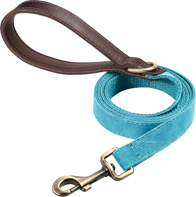 Didog PU Leather Dog Leash for Small Dogs 4.5ft, Soft Padded Handle Faux Leather Dog Leashes for Medium Dogs, Walking and Training Leashes for Large Dogs,Light Blue