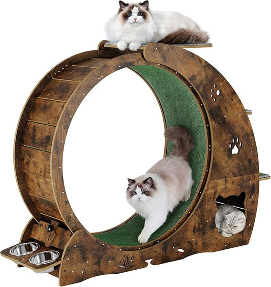 4-in-1 Cat Wheels for Indoor Cats, 40 Inch Large Cat Exercise Wheel, Running Treadmill Wheel with Carpeted Runway, Scratcher