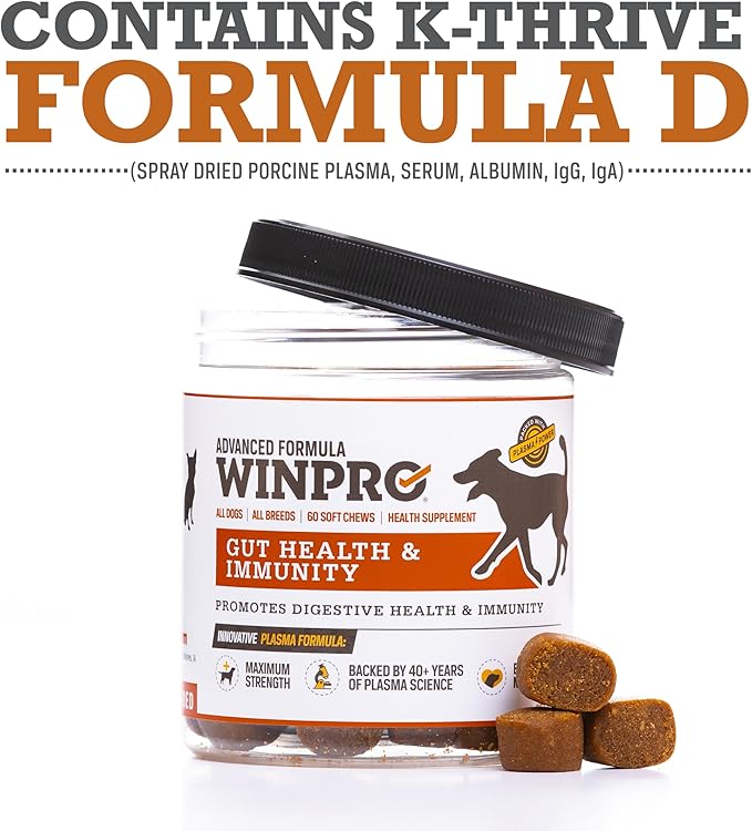 WINPRO Dog Gut Health Supplement – Plasma-Powered Soft Chews for Dog Immune Health Support & Gut Health, Made with Natural Ingredients for Dogs of All Breeds & Sizes - 60 Count