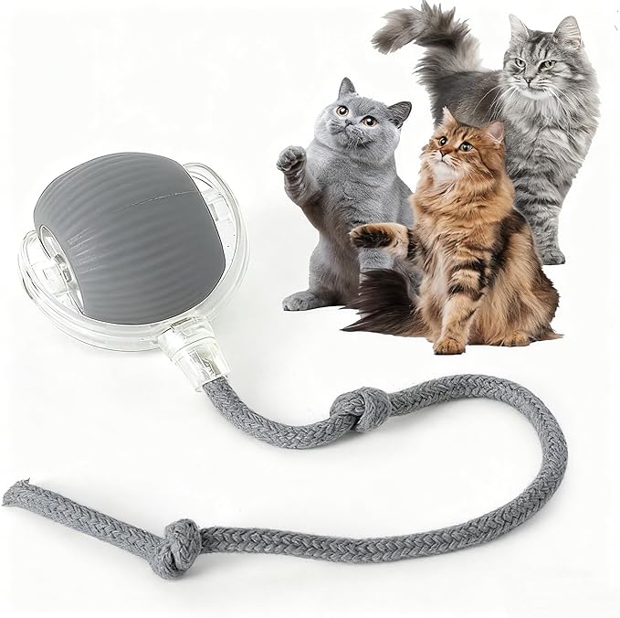 Rocfish Durable Interactive Cat Toys for Indoor Cats, Smart Automatic Cat Chase Ball Toy, Upgraded Speedy Tail Kitten Toy for Bored Indoor Adult Pets (Grey)