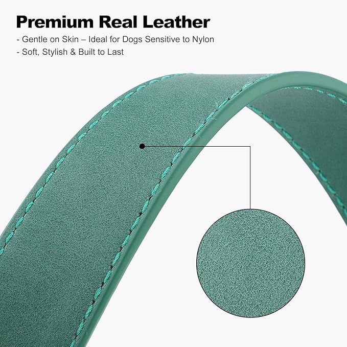 Plutus Pet Genuine Leather Dog Collar – Adjustable Pet Collar with Quick Release Metal Buckle, Soft Real Leather for Small Medium Large Dogs, Heavy Duty & Skin-Friendly (Green, M)