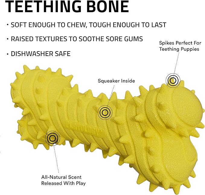 Playology Dog Toys | Puppy Toy Teething Bone Designed for Young & Active Dogs | Jumbo Chicken Scented Toy Made from Non Toxic Materials