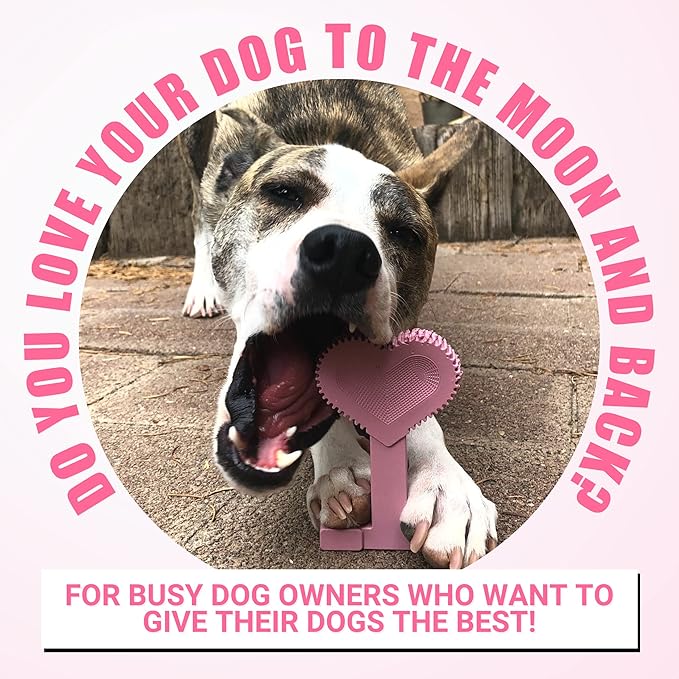 Bullibone Nylon Dog Chew Toy for Aggressive Chewers - Dental Hygiene Bone with Peppermint Flavor, Durable Tough Chew Toys for Large Dogs, Indestructible Dog Bone - 2 Pack