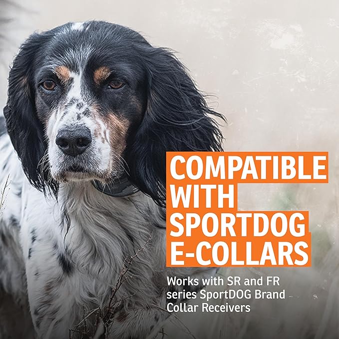 SportDOG Brand Short Contact Points - 1/2 Inch Replacement Probes E-Collars - Standard Length