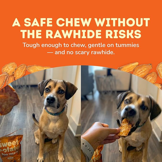 Davie's Sweet Potato Dog Treats - Healthy Treats Made in USA Only, Natural, Healthy Dog Chews, Low Fat, 1 lb Bag - Pack of 2