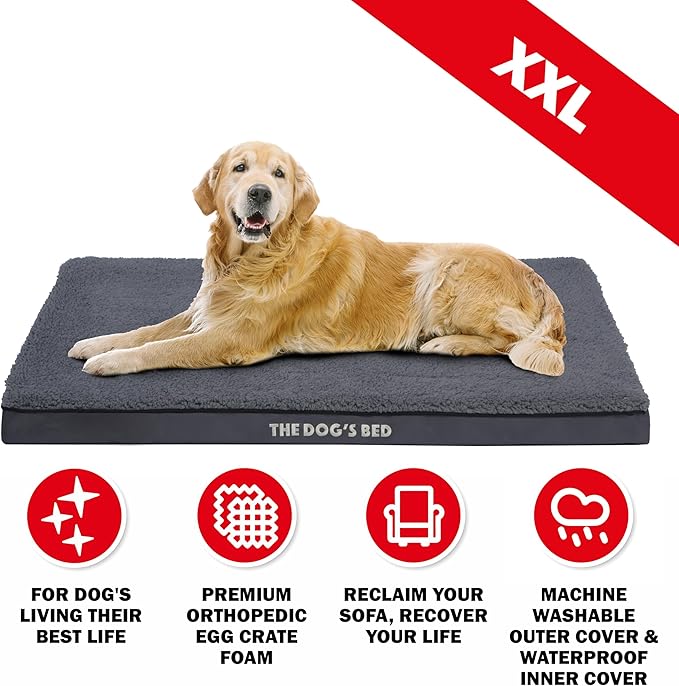 The Dog’s Bed Orthopedic Dog Bed, XXL Grey Plush, Waterproof, Supportive Dog Bed with Washable Replaceable Covers, Veterinary Approved