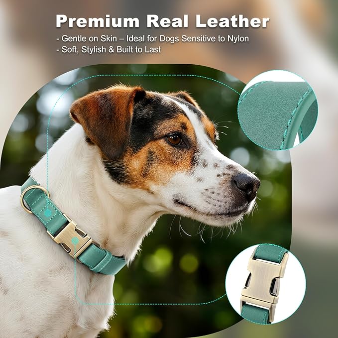 Plutus Pet Genuine Leather Dog Collar – Adjustable Pet Collar with Quick Release Metal Buckle, Soft Real Leather for Small Medium Large Dogs, Heavy Duty & Skin-Friendly (Green, S)
