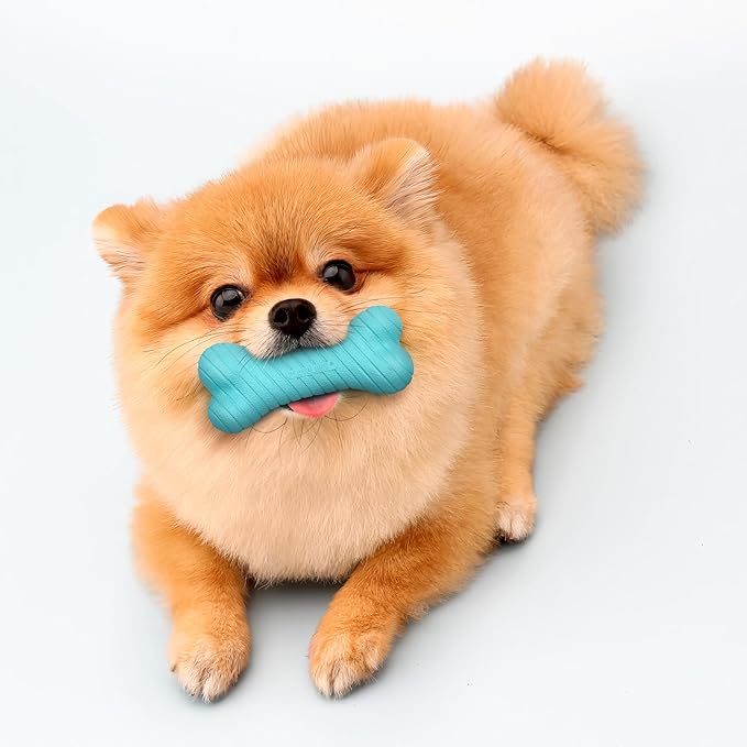 Playology Dog Toys | Dual Layer Bone Durable Chew Toy Bone for Dogs (Value 2-Pack) | Small Peanut Butter Scented Toy - Easy to Clean and Made from Non Toxic Materials