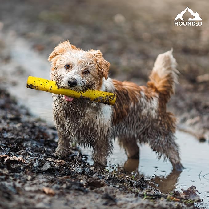 Playology Hound2O Dog Toys | Fetch Stick Toy for Dogs, Yellow | Durable Rubber Outdoor Toy - Easy to Clean and Made from Non Toxic Materials