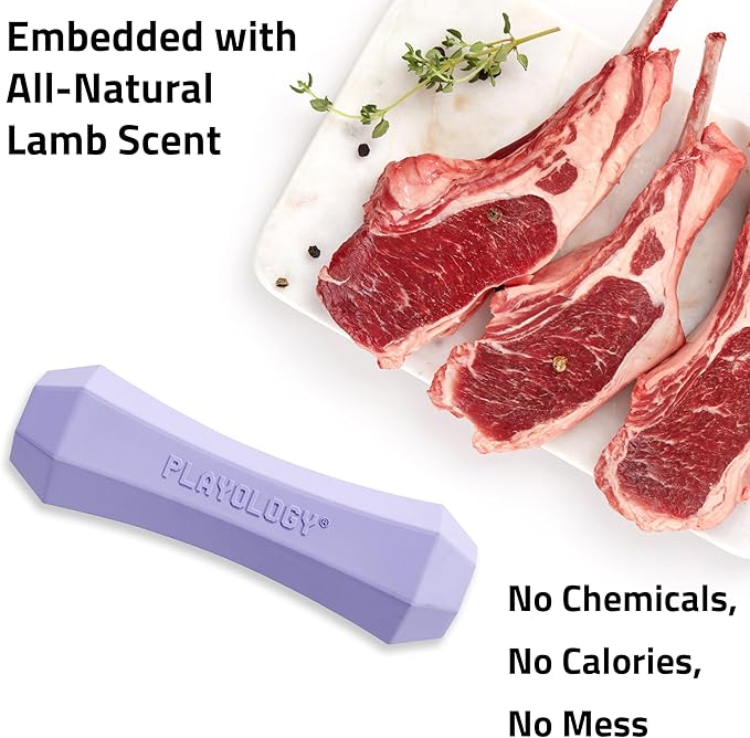 Playology Dog Toys | Durable Squeaky Chew Stick for Dogs | Jumbo Lamb Scented Toy - Easy to Clean and Made from Non Toxic Materials